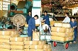 Đề xuất giảm thuế xuất khẩu cao su